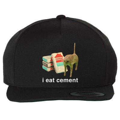 I Eat Cement Cursed Cat Funny Oddly Specific Dank Meme Wool Snapback Cap