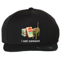 I Eat Cement Cursed Cat Funny Oddly Specific Dank Meme Wool Snapback Cap