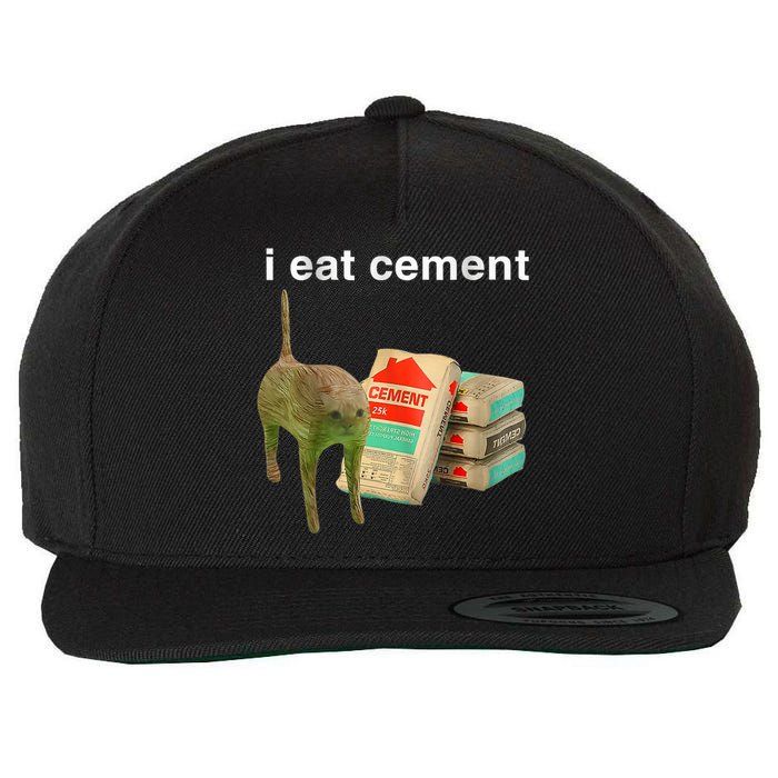 I Eat Cement Cursed Cat Funny Oddly Specific Dank Meme Wool Snapback Cap