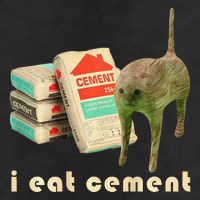 I Eat Cement Cursed Cat Unhinged Funny Meme On Back 25L Jumbo Tote