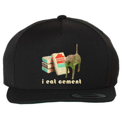 I Eat Cement Cursed Cat Unhinged Funny Meme On Back Wool Snapback Cap