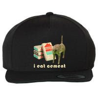 I Eat Cement Cursed Cat Unhinged Funny Meme On Back Wool Snapback Cap