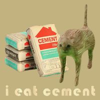 I Eat Cement Cursed Cat Unhinged Funny Meme On Back Magnet