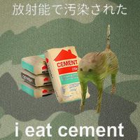 I Eat Cement Cat Japanese Meme Cat Oddly Specific Weired Legacy Tie Dye Trucker Hat