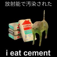 I Eat Cement Cat Japanese Meme Cat Oddly Specific Weired Backpack