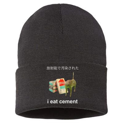 I Eat Cement Cat Japanese Meme Cat Oddly Specific Weired Sustainable Knit Beanie