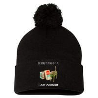 I Eat Cement Cat Japanese Meme Cat Oddly Specific Weired Pom Pom 12in Knit Beanie