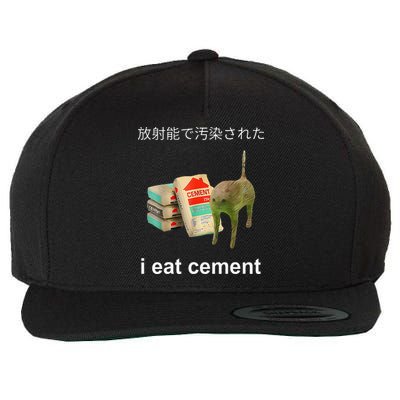 I Eat Cement Cat Japanese Meme Cat Oddly Specific Weired Wool Snapback Cap
