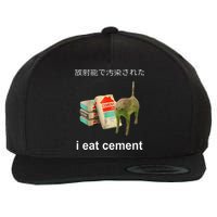 I Eat Cement Cat Japanese Meme Cat Oddly Specific Weired Wool Snapback Cap