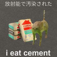 I Eat Cement Cat Japanese Meme Cat Oddly Specific Weired Cotton Canvas Backpack