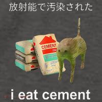 I Eat Cement Cat Japanese Meme Cat Oddly Specific Weired Vector Backpack