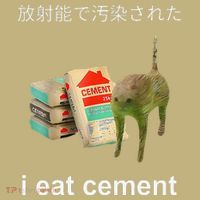 I Eat Cement Cat Japanese Meme Cat Oddly Specific Weired Magnet
