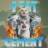 I Eat Cement Cursed Cat Funny Oddly Specific Dank Meme Legacy Tie Dye Trucker Hat