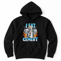 I Eat Cement Cursed Cat Funny Oddly Specific Dank Meme Hoodie
