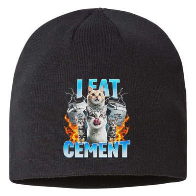 I Eat Cement Cursed Cat Funny Oddly Specific Dank Meme Sustainable Beanie