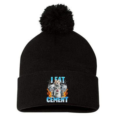 I Eat Cement Cursed Cat Funny Oddly Specific Dank Meme Pom Pom 12in Knit Beanie