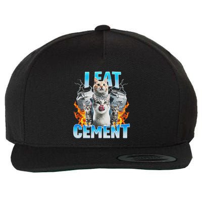 I Eat Cement Cursed Cat Funny Oddly Specific Dank Meme Wool Snapback Cap