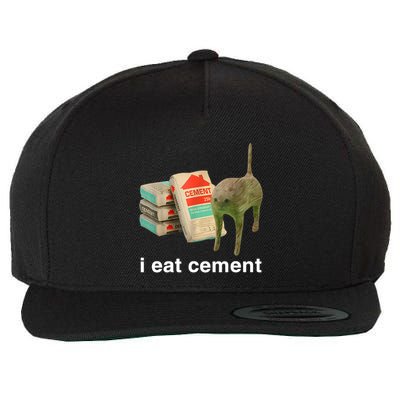 I Eat Cement Cursed Cat Funny Oddly Specific Meme Wool Snapback Cap