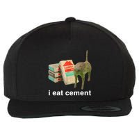 I Eat Cement Cursed Cat Funny Oddly Specific Meme Wool Snapback Cap