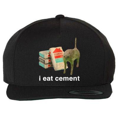 I Eat Cement Cursed Cat Funny Oddly Specific Meme Wool Snapback Cap