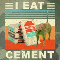 I Eat Cement Cursed Cat Funny Oddly Specific Dank Meme Legacy Tie Dye Trucker Hat