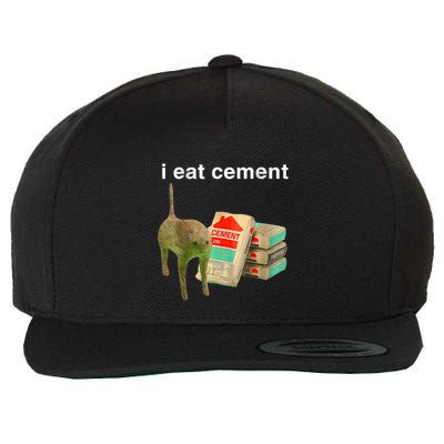 I Eat Cement Cursed Cat Funny Oddly Specific Dank Meme Wool Snapback Cap