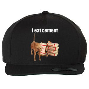 I Eat Cement Cursed Cat Wool Snapback Cap