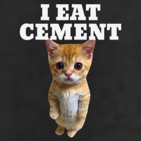 I Eat Cement Cat Meme Cool Comfort Performance Bucket Hat