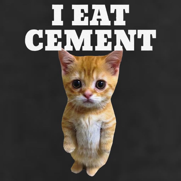 I Eat Cement Cat Meme Adult Drive Performance Visor