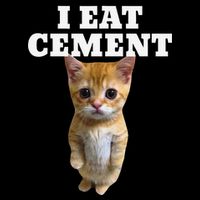 I Eat Cement Cat Meme Tall Sweatshirt