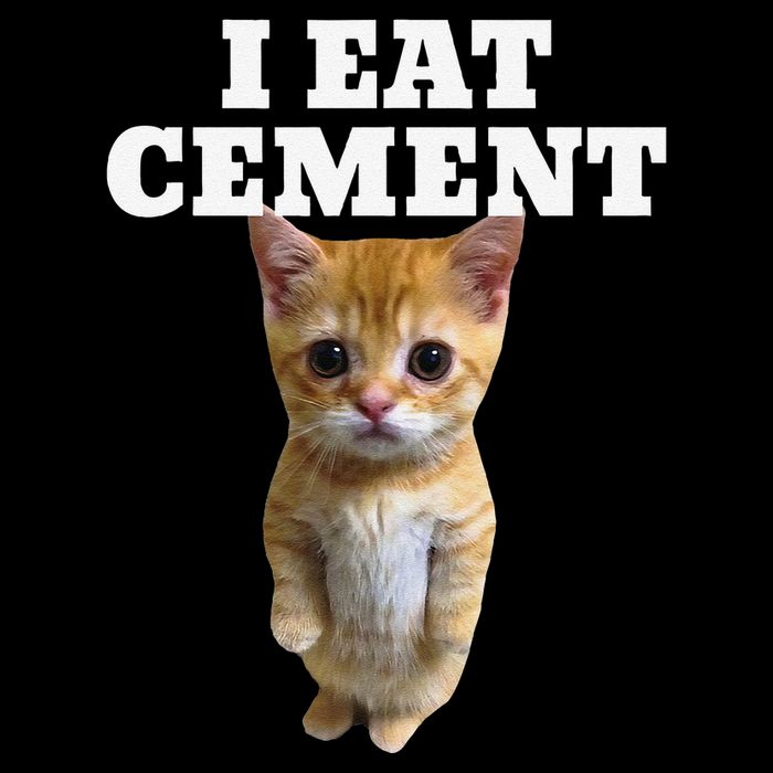 I Eat Cement Cat Meme Tall Sweatshirt