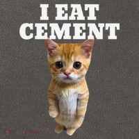 I Eat Cement Cat Meme Cotton Canvas Backpack