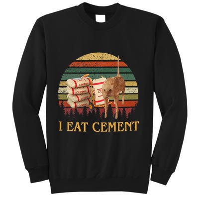 I Eat Cement Cursed Cat Funny Meme Lover Sweatshirt