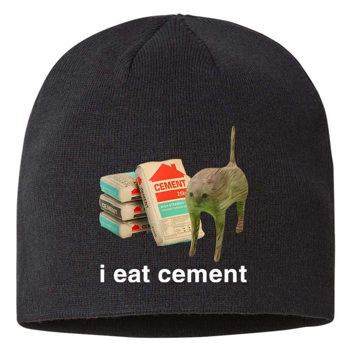 I Eat Cement Cursed Cat Sustainable Beanie