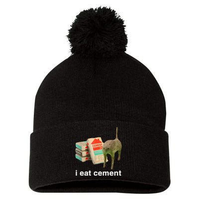 I Eat Cement Cursed Cat Pom Pom 12in Knit Beanie