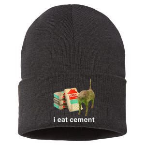 I Eat Cement Cursed Cat Specific Dank Sustainable Knit Beanie