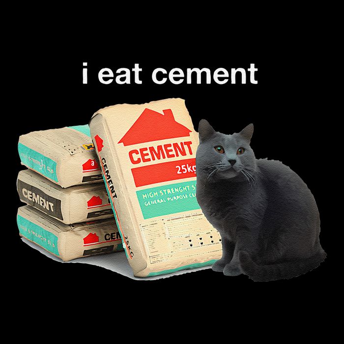 I Eat Cement Cursed Black Cat Funny Dank Meme City Backpack
