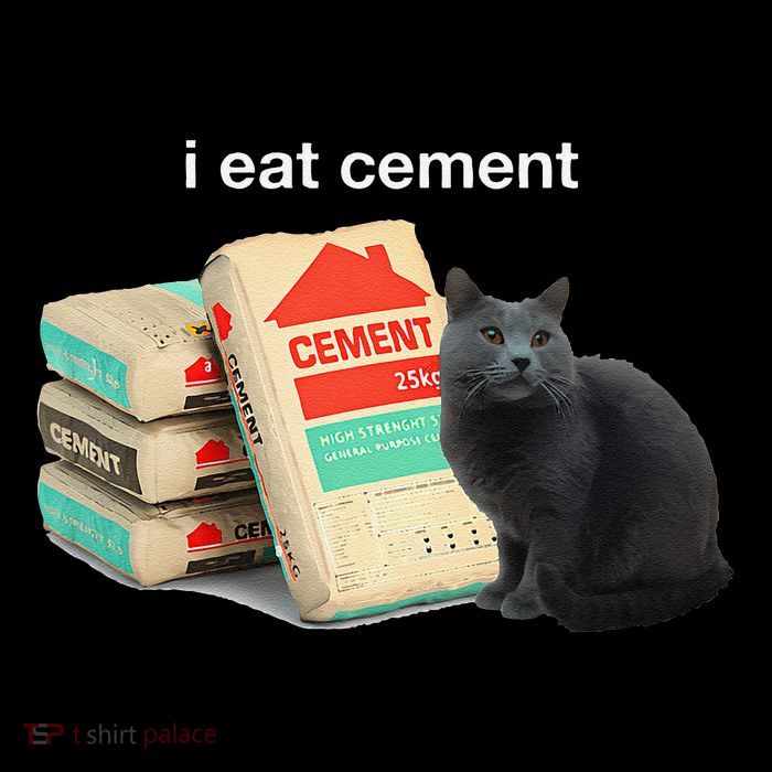 I Eat Cement Cursed Black Cat Funny Dank Meme Sustainable Bucket Hat