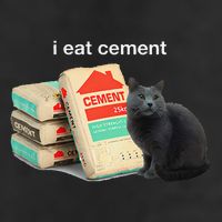 I Eat Cement Cursed Black Cat Funny Dank Meme 11oz C Handle Ceramic Mug