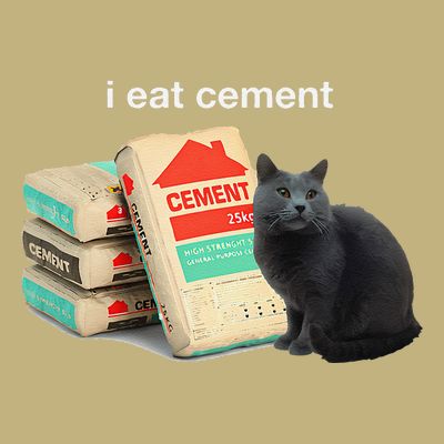 I Eat Cement Cursed Black Cat Funny Dank Meme T-Shirt