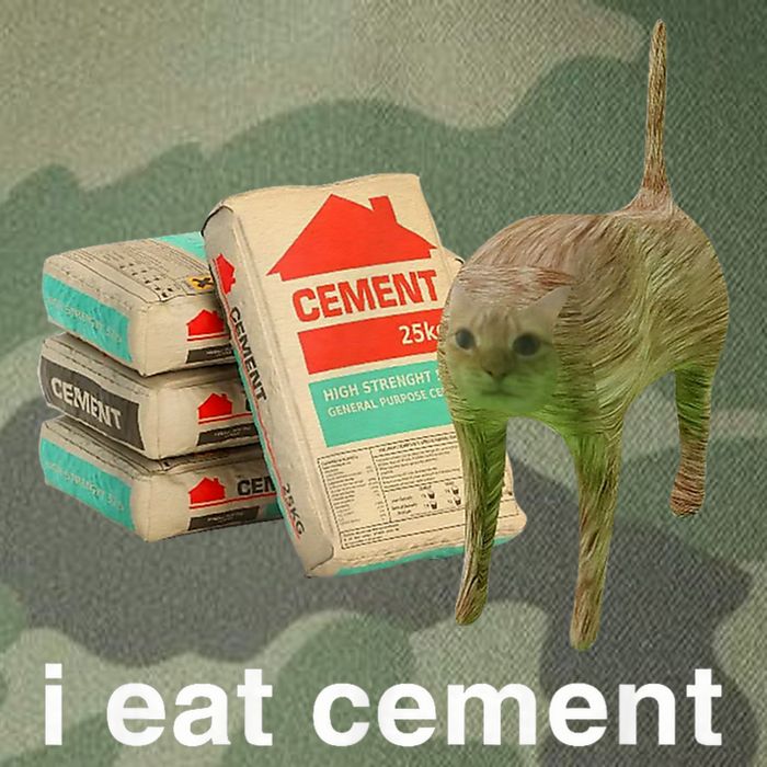 I Eat Cement Cursed Cat Funny Oddly Specific Meme Legacy Tie Dye Trucker Hat