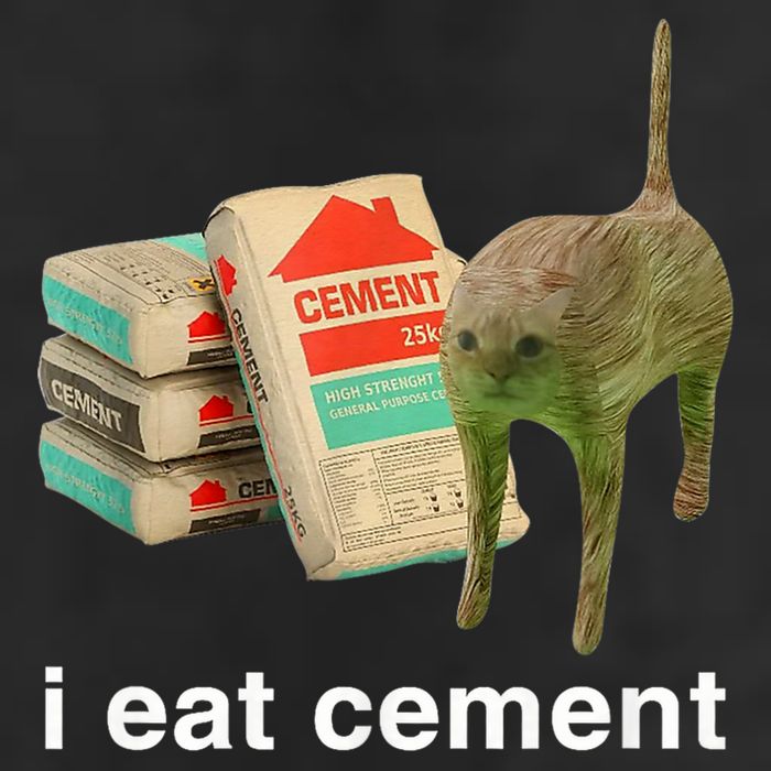 I Eat Cement Cursed Cat Funny Oddly Specific Meme 25L Jumbo Tote