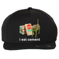 I Eat Cement Cursed Cat Funny Oddly Specific Meme Wool Snapback Cap