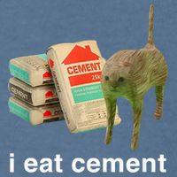 I Eat Cement Cursed Cat Funny Oddly Specific Meme Garment-Dyed Sweatshirt