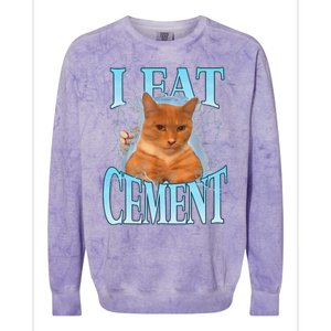 I Eat Cement Cursed Cat Funny Oddly Specific Dank Meme Colorblast Crewneck Sweatshirt