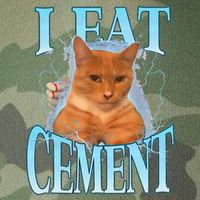 I Eat Cement Cursed Cat Funny Oddly Specific Dank Meme Legacy Tie Dye Trucker Hat