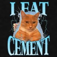 I Eat Cement Cursed Cat Funny Oddly Specific Dank Meme Ladies PosiCharge Tri-Blend Wicking Tank