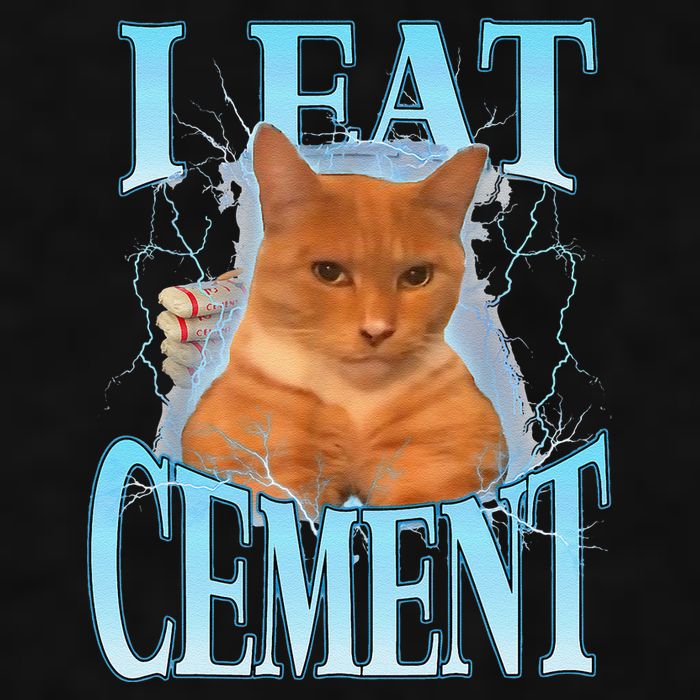 I Eat Cement Cursed Cat Funny Oddly Specific Dank Meme Ladies PosiCharge Tri-Blend Wicking Tank