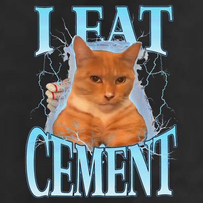 I Eat Cement Cursed Cat Funny Oddly Specific Dank Meme Cool Comfort Performance Bucket Hat