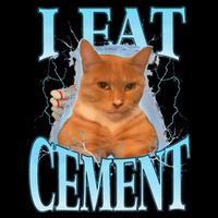 I Eat Cement Cursed Cat Funny Oddly Specific Dank Meme 7-Panel Snapback Hat